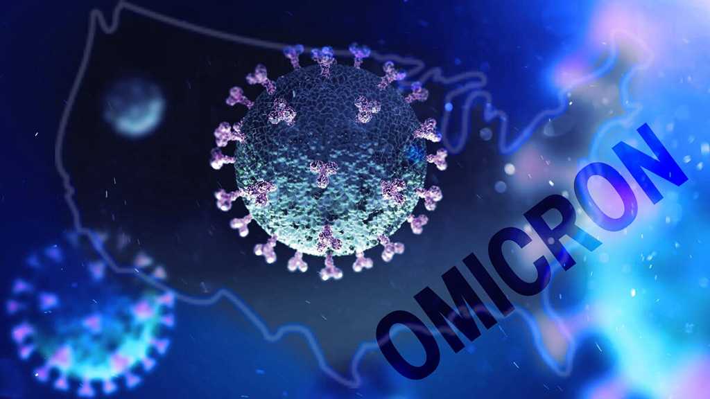 WHO: Two Omicron Sub-Variants Driving S. Africa COVID Spike