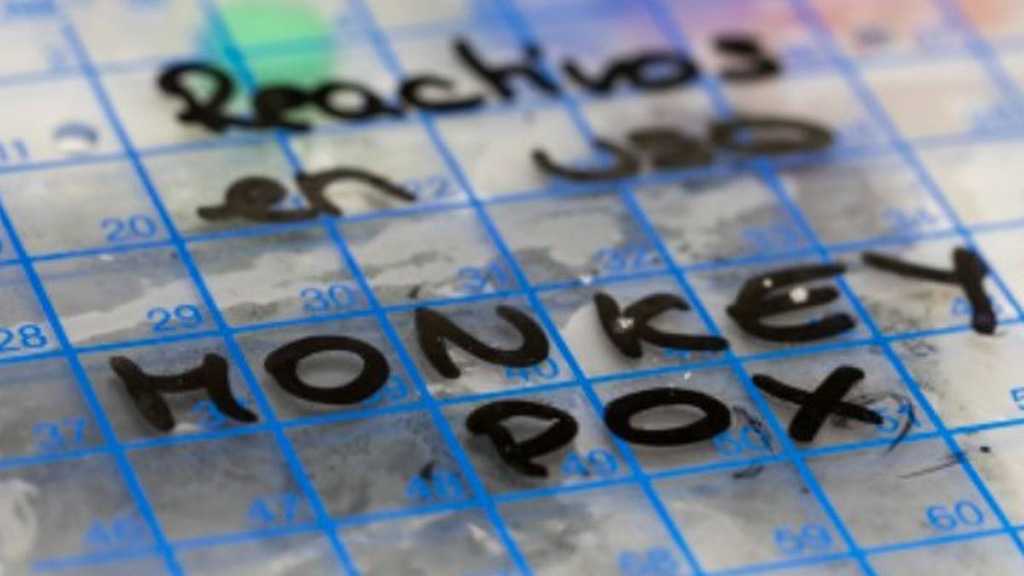 WHO: Monkeypox to Be Rebranded