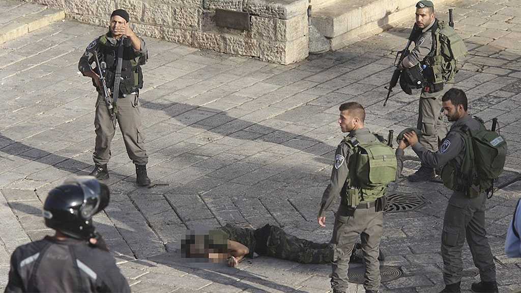 ‘Israel’ Conducting Lab Experiments on Bodies of Palestinian Martyrs