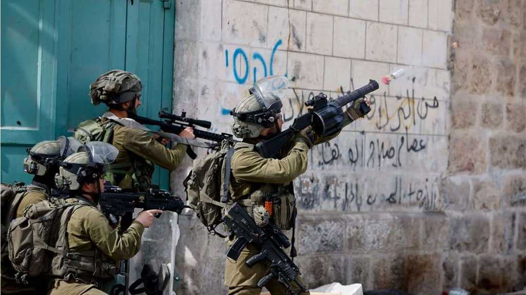 Rights Group Urges UN To Stop ‘Israel’s’ Systematic Use of Lethal Force Against Palestinians