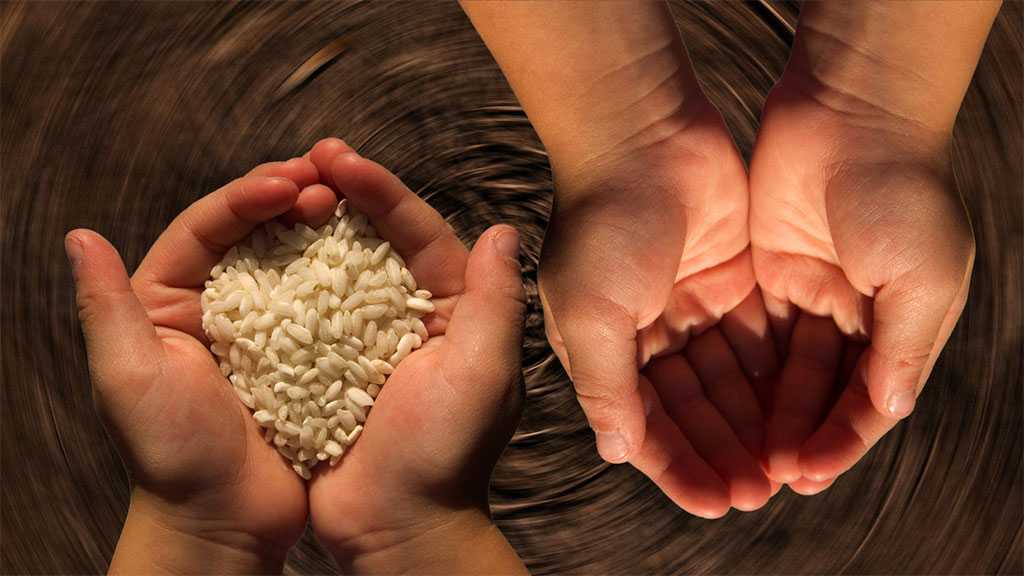 WTO, IMF, World Bank Call for Lifting Trade Restrictions