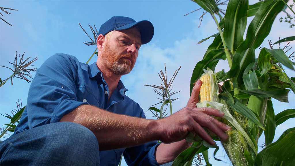 Record Heatwave Threatens EU Food Security