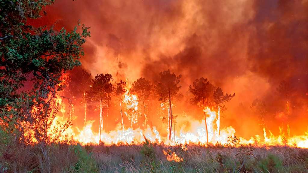 Around 1,500 People Evacuated Amid Raging Wildfire in Northeast Spain