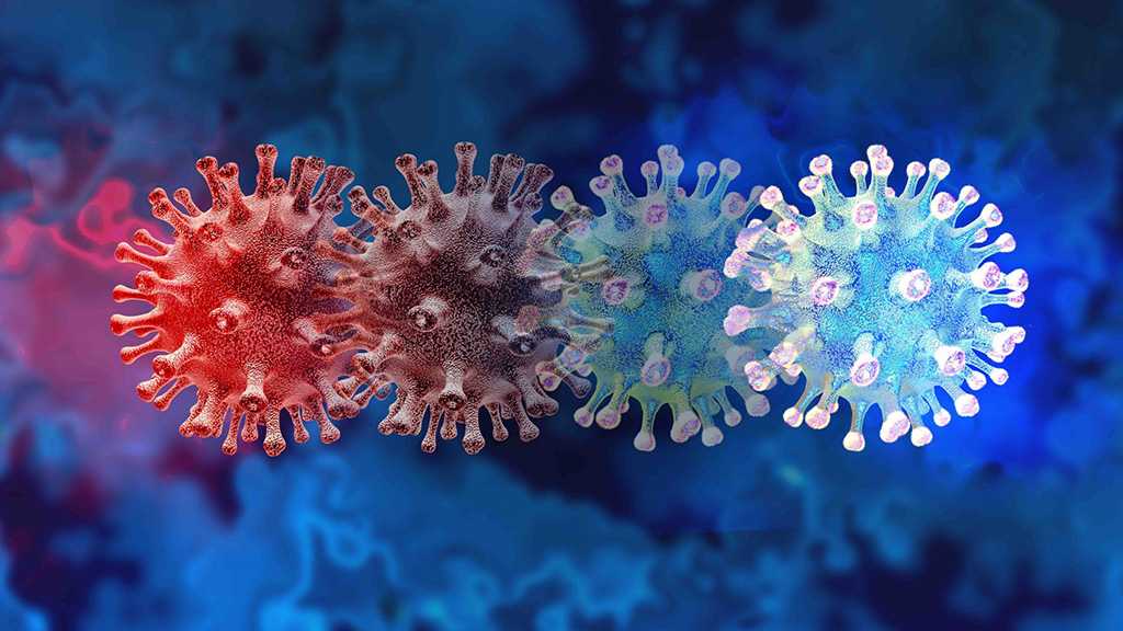All Major COVID Variants Have A Common Vulnerability