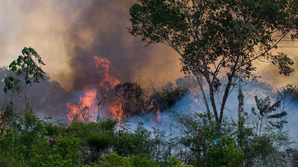 Brazil Records Worst Day for Amazon Fires in 15 Years