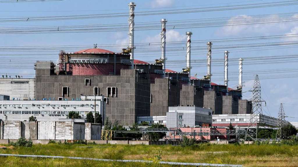 Russia: Ukrainian Drone Downed Over Nuke Plant