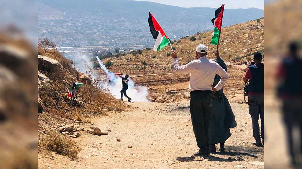 IOF Attack Palestinians in Occupied Nablus, Injure 37