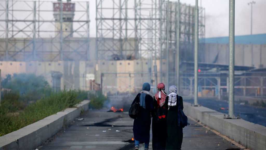 280+ Palestinians Held In ‘Israeli’ Detention for Over Two Decades