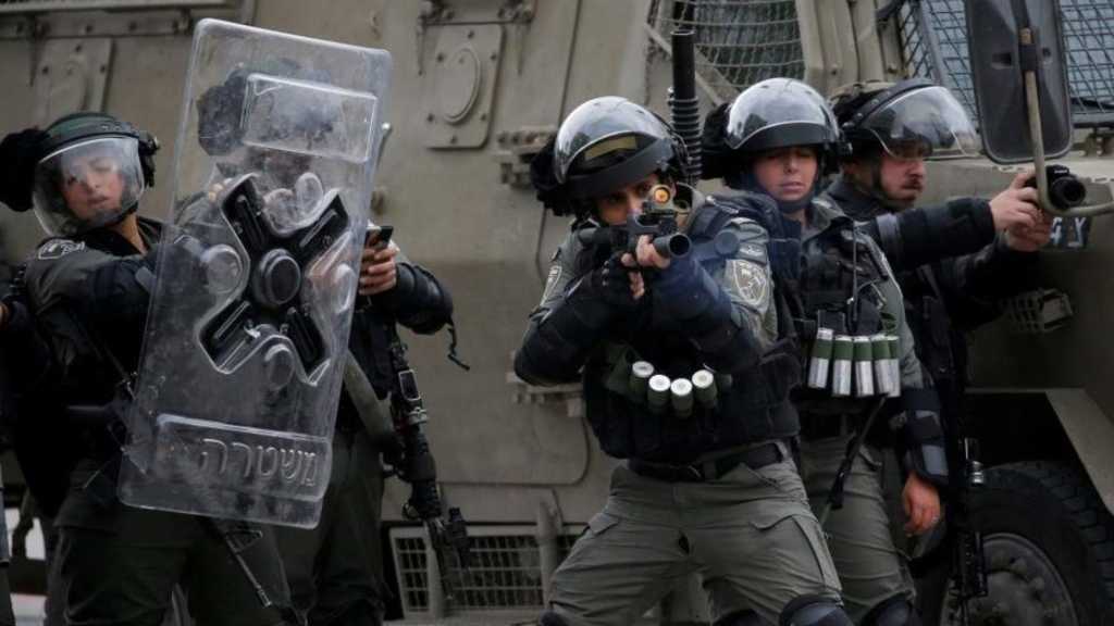 IOF Martyrs Two Other Palestinian Teenagers