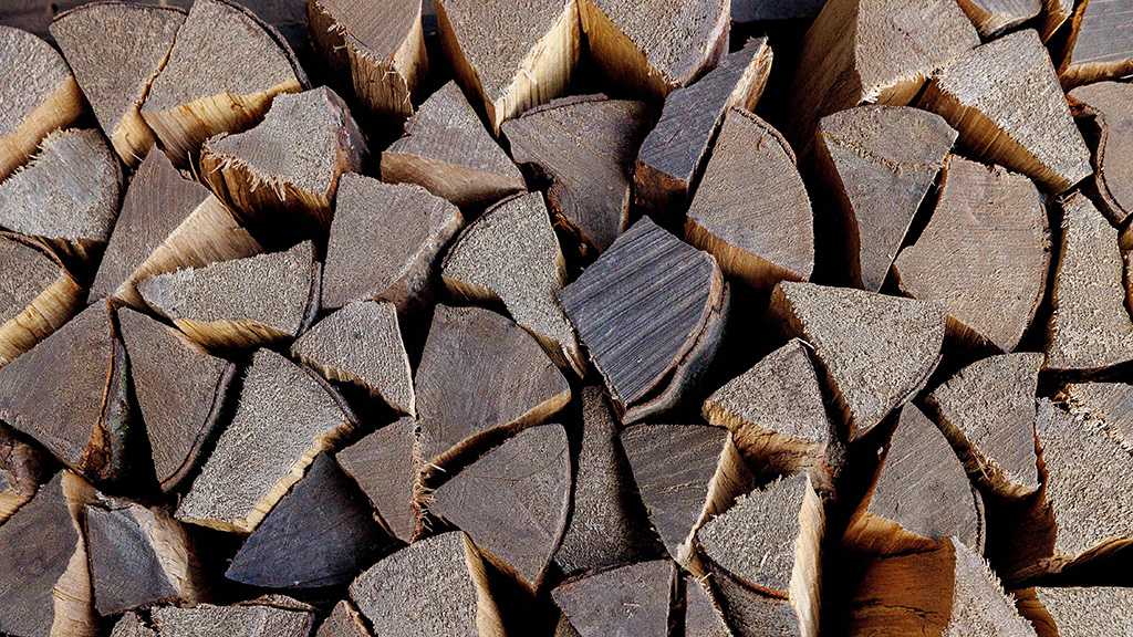 Desperate Europeans Return to the World’s Oldest Fuel for Warmth