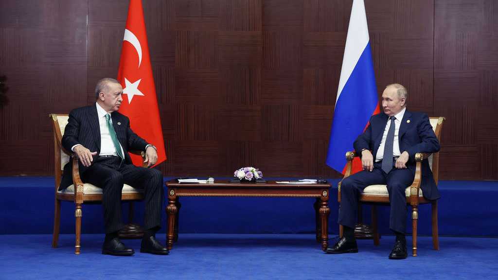 Turkey, Russia to Study Putin’s Gas Hub Proposal - Erdogan