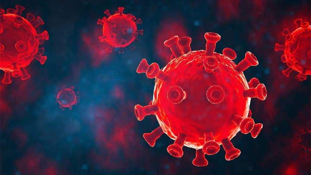 New Study Claims to Have Determined Covid-19 Origin