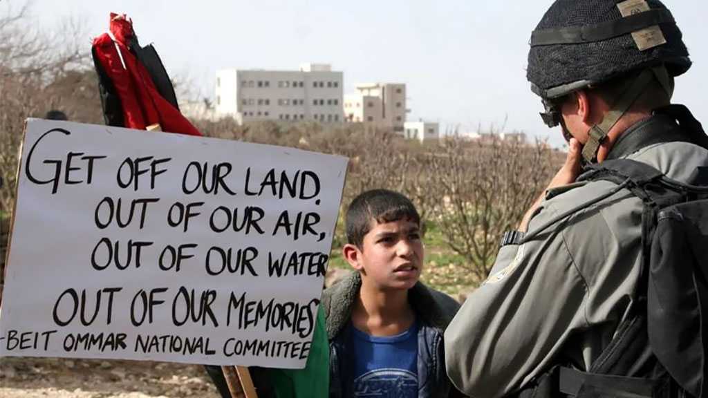 198 Organizations Urge ICC To Investigate ‘Israeli’ Crimes Against Palestinians