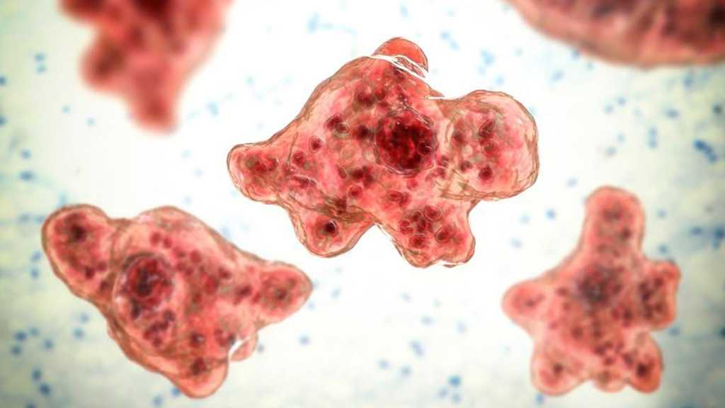 First Ever Case of Deadly Brain-Eating Amoeba Reported by S Korea