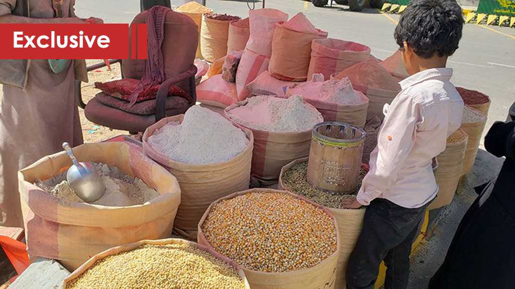 Despite the Alliance’s Intentions, Yemen Cultivates Its Land