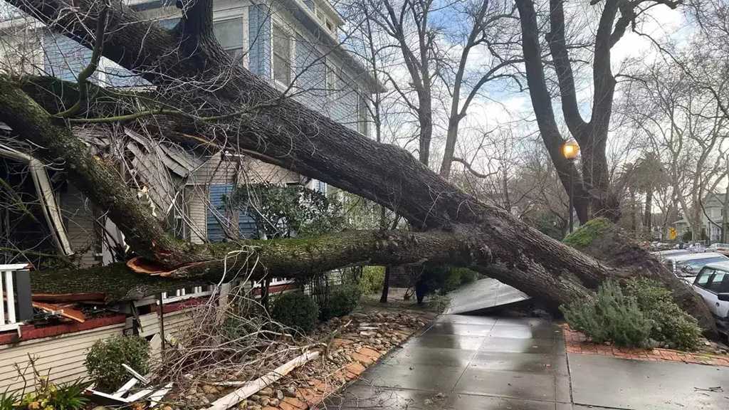California Braces for “Parade of Cyclones” After Storms Kill 12