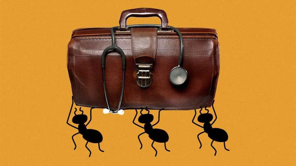 An Ant’s Sense of Smell Is So Strong, It Can Sniff Out Cancer