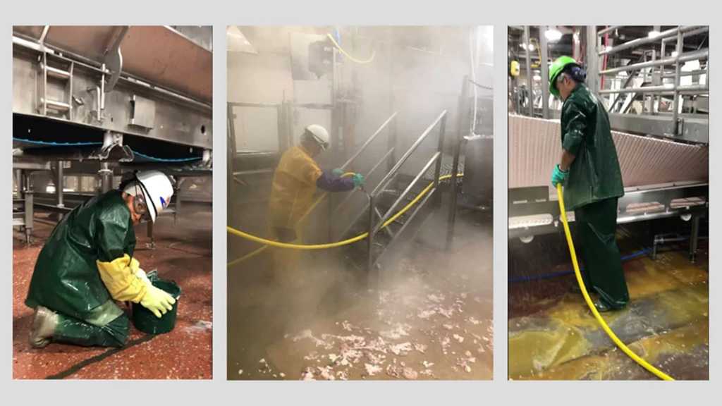 Children Illegally Sent to Work at US Slaughterhouses