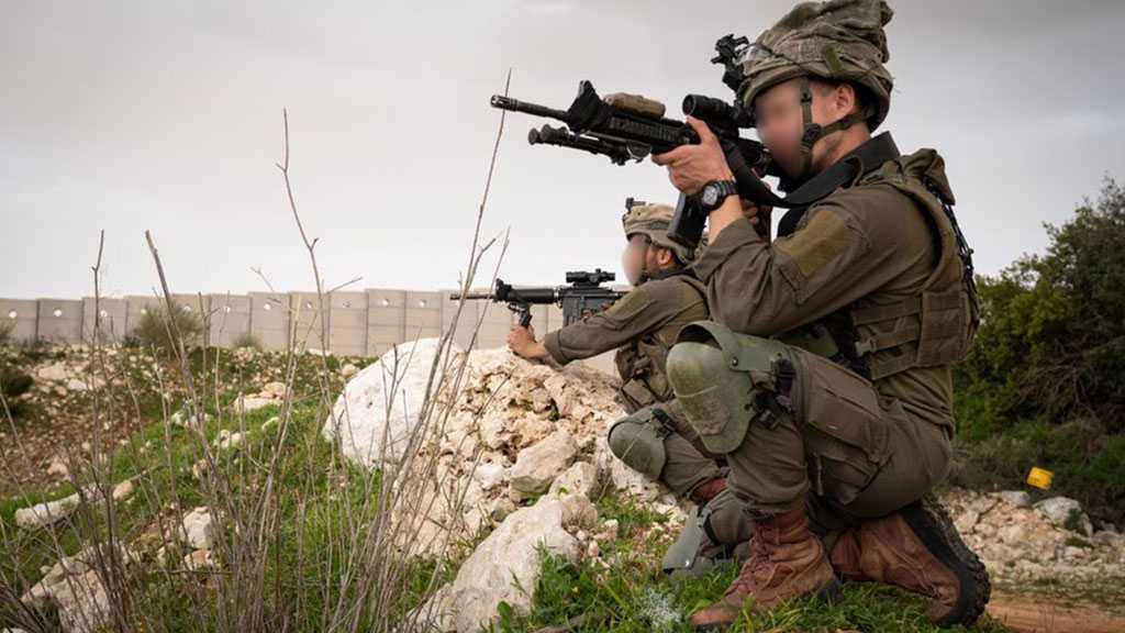 ‘The Lone Wolves’ Refutes the ‘Israeli’ Narrative: Megiddo Perpetrator in A Safe Place, Op Documented