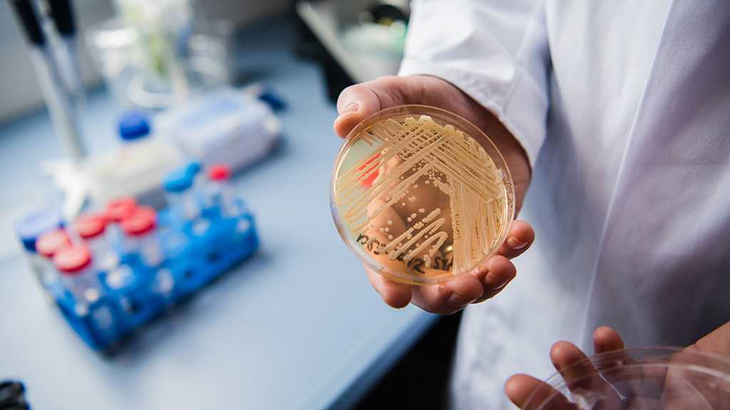 CDC: Drug-Resistant, Potentially Fatal Fungus on the Rise Across US Hospitals