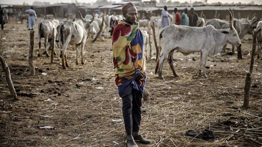 Ethnic Clashes Kill At Least 30 People in Central Nigeria