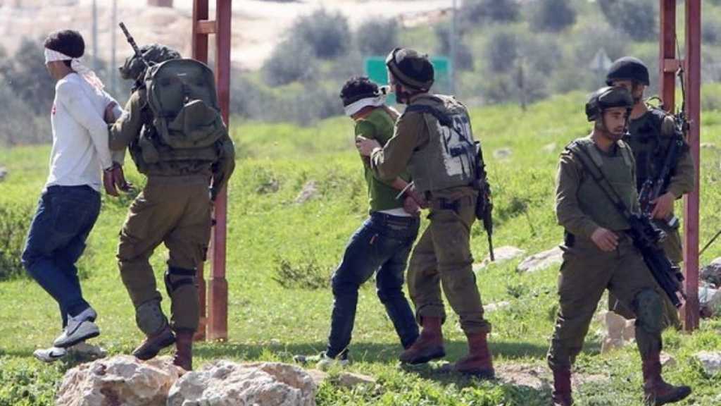 IOF Detains Three Palestinian in West Bank