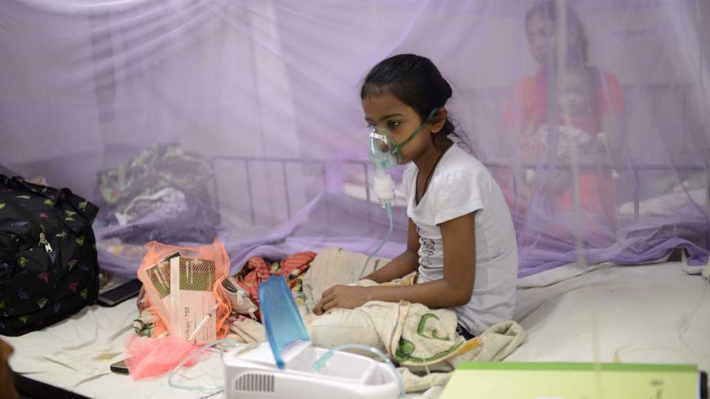 Bangladesh Grapples with Dengue ‘Epidemic’: More than 170 Dead