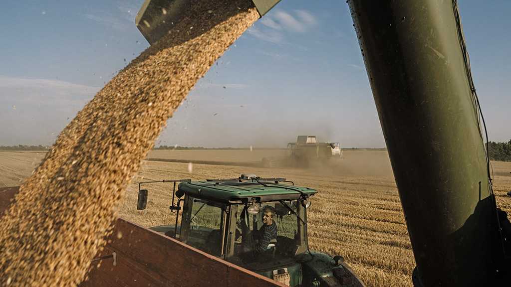 IMF Warns of Sharp Increase in Grain Prices
