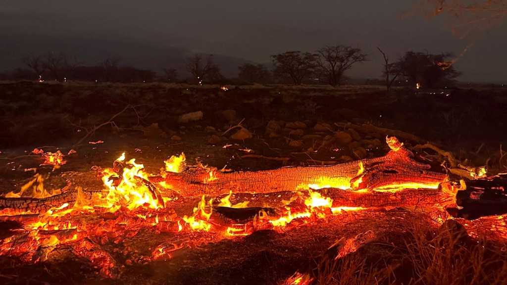 Hawaii’s Disaster: Wildfire Death Toll Hits 67
