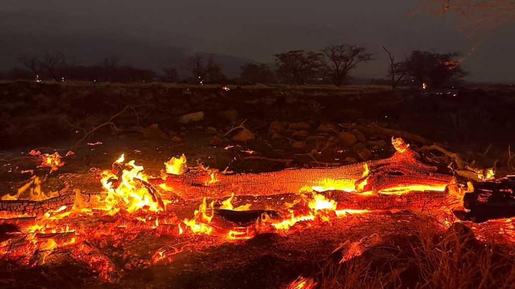 US: Hawaii Wildfires Death Toll Rises to 99, Expected to Double