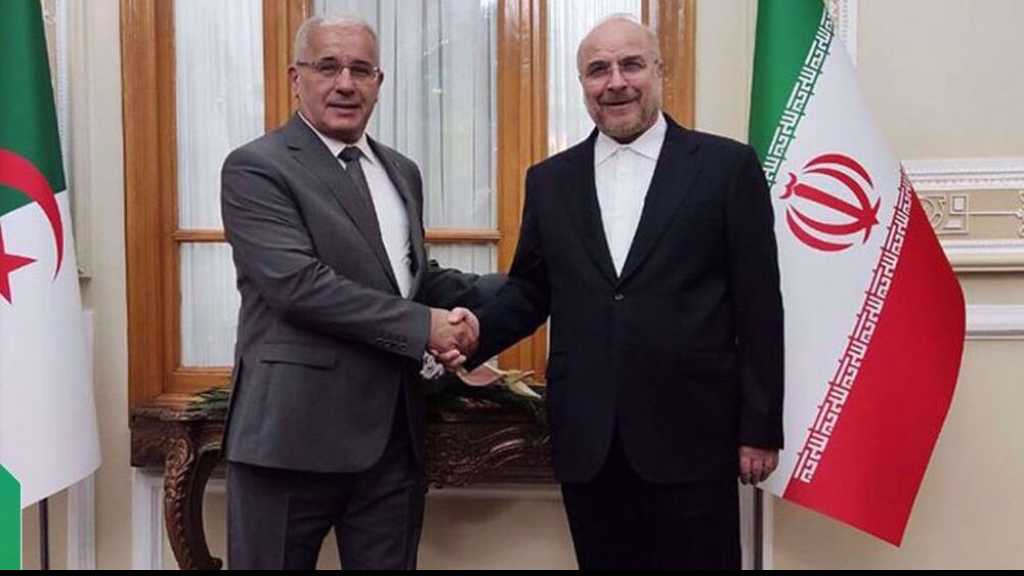 Iran Urges Muslim Countries to Take Serious Stance against Desecration of Holy Quran