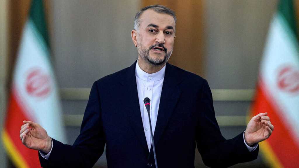 Iranian FM: Arbaeen March to Karbala Angers, Scares Enemies