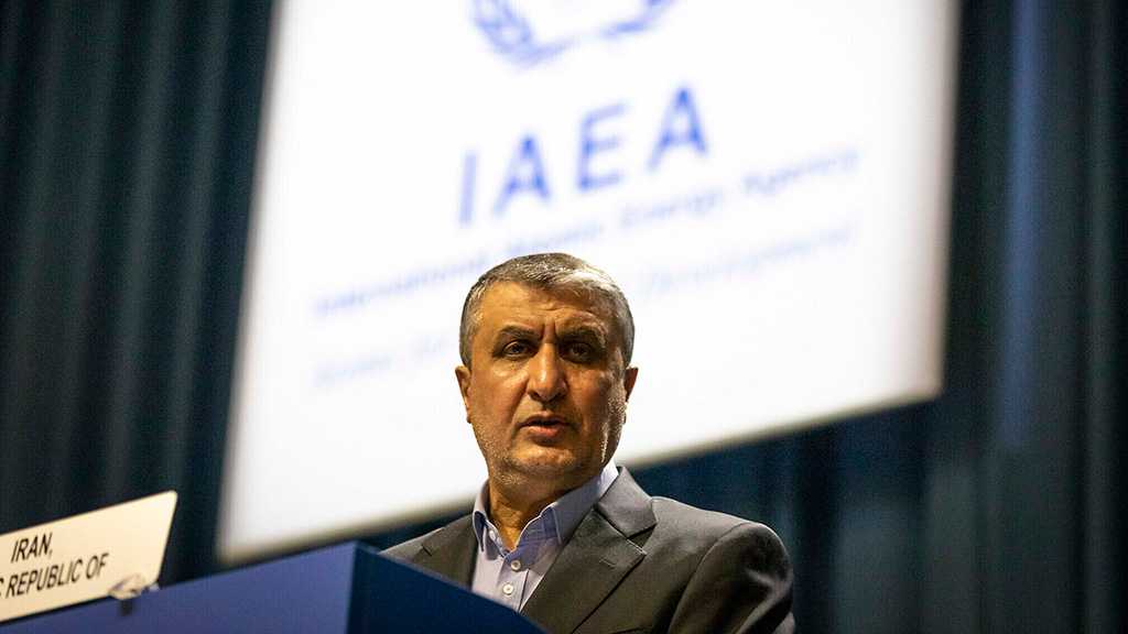 AEOI Chief: Iran Nuke Technology Has Overcome 20 Years of Sabotage