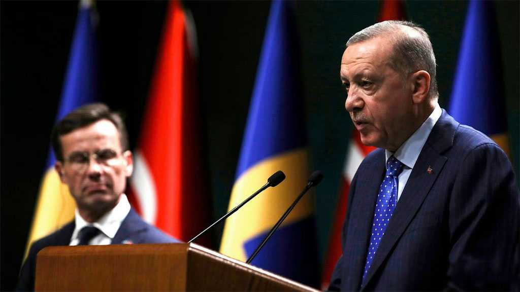 Erdogan: Sweden Not Doing Enough to Join NATO
