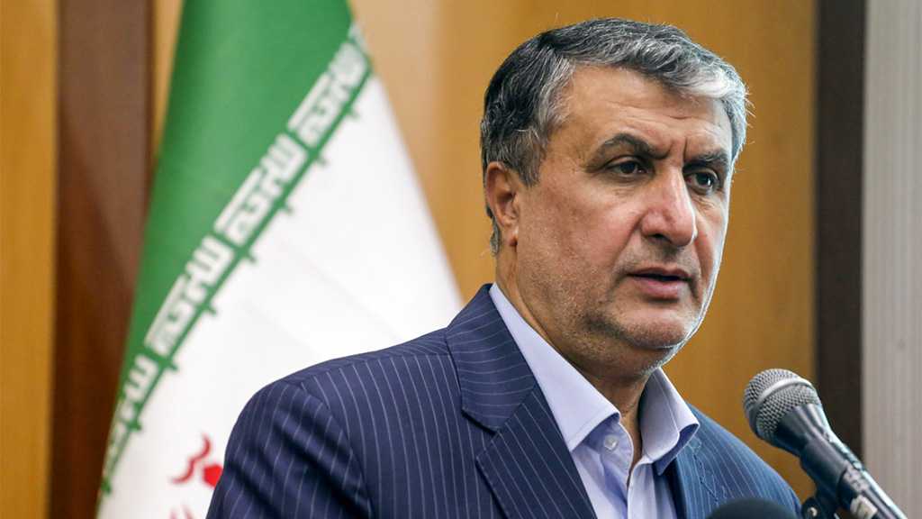 Iran Has No Nuclear Activity Without IAEA Supervision – Nuclear Chief