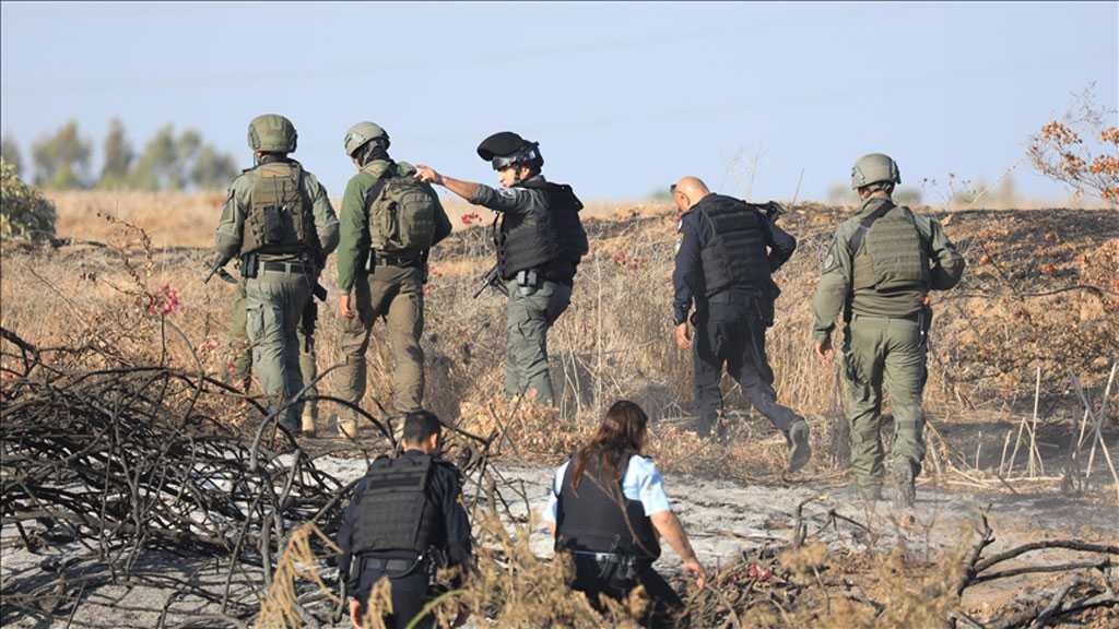 CNN Reporter Apologizes for Defending ‘Israeli’ Claims That Hamas Beheaded Babies