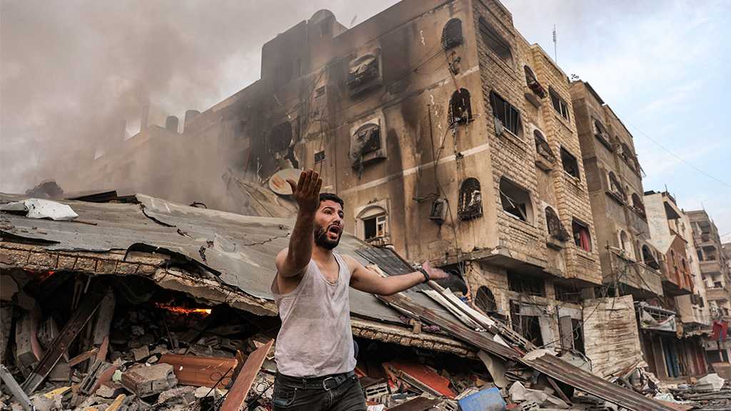 Celebrities Urge Biden To Call For ‘Israeli’ Ceasefire in War on Gaza