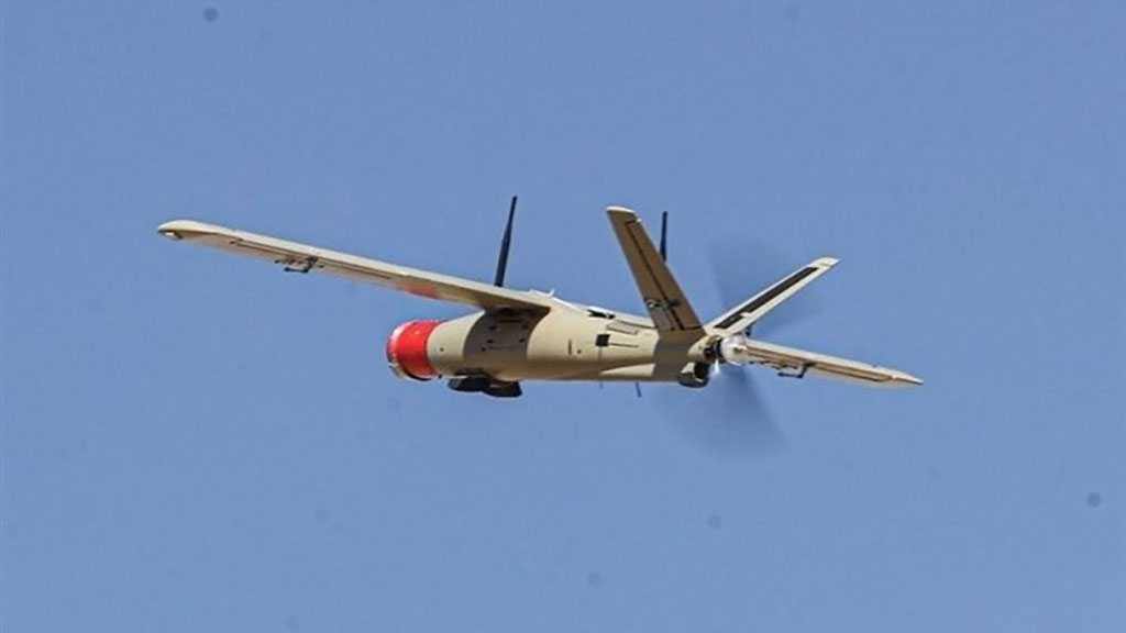 Loitering Munitions Hit Targets in Iranian Army Drill