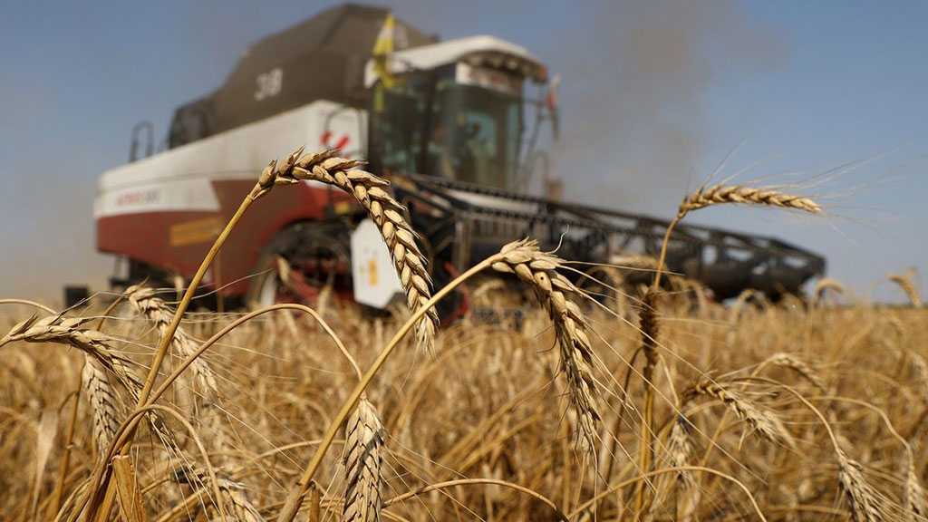 Moscow to Ship More Free Wheat to Africa