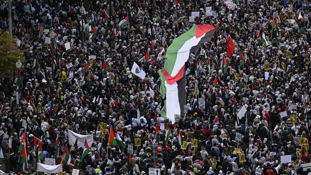 Washington Sees Largest Pro-Palestine Protest in US History