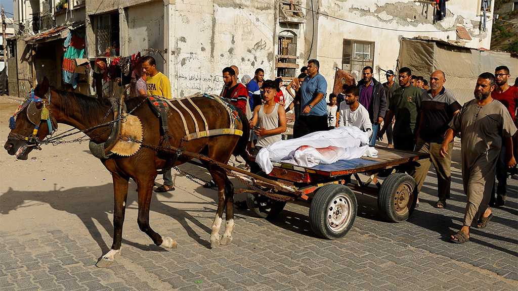 In Gaza, People Replace Cars with Animal-drawn Carts Amid Absence of Fuel