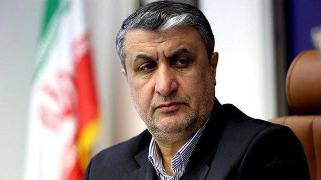 UN Atomic Agency Responsible For ‘Israeli’ Regime’s Nuke Threat – Iran Nuclear Chief