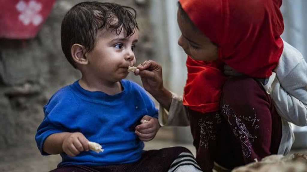 The Americans Go after Yemen’s WFP Aid over Its Support for Palestine