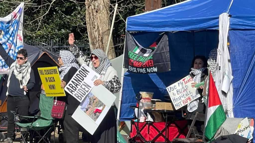 Occupy Blinken: Palestinian Americans Snub US Secretary of State Briefing on Gaza 