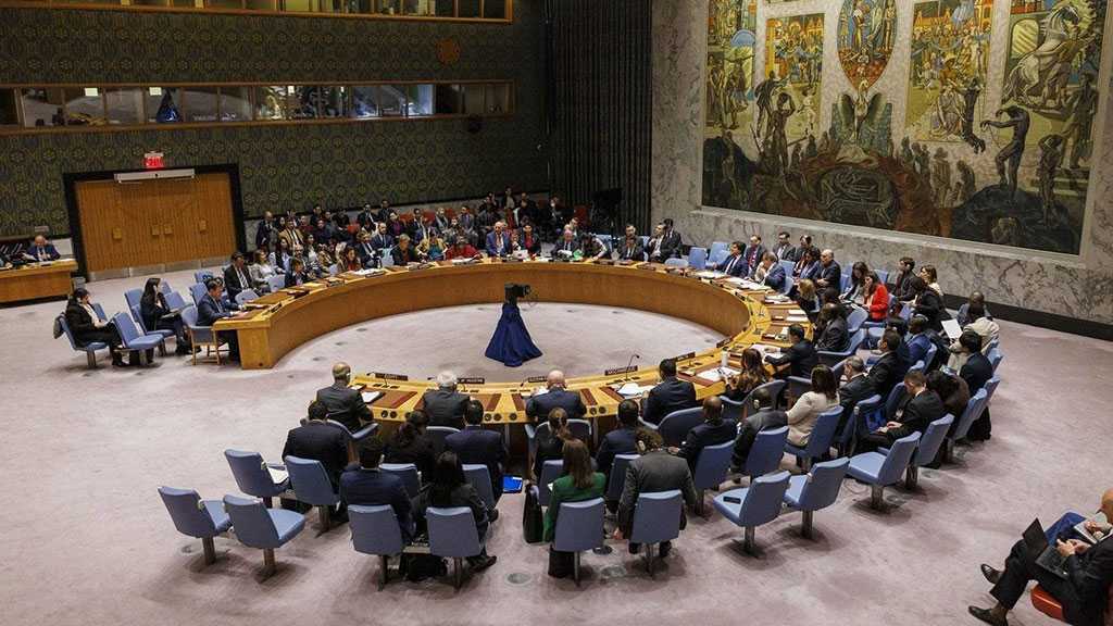 UN Expert: Sanction ‘Israel’ to Reach Gaza Ceasefire