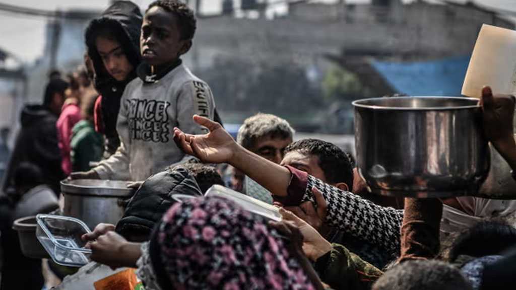 I Asked Public Health Colleagues About Starvation in Gaza. They Say There Is No Precedent for What Is Happening