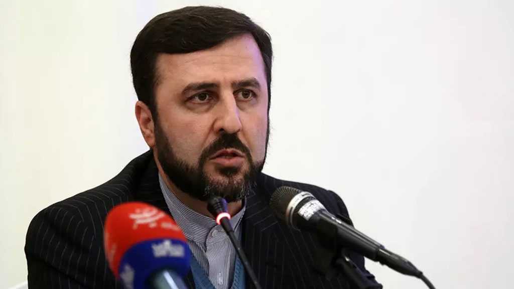 Iran Official Urges Intl. Community to Adopt Laws, Policies That Defend Muslim Rights
