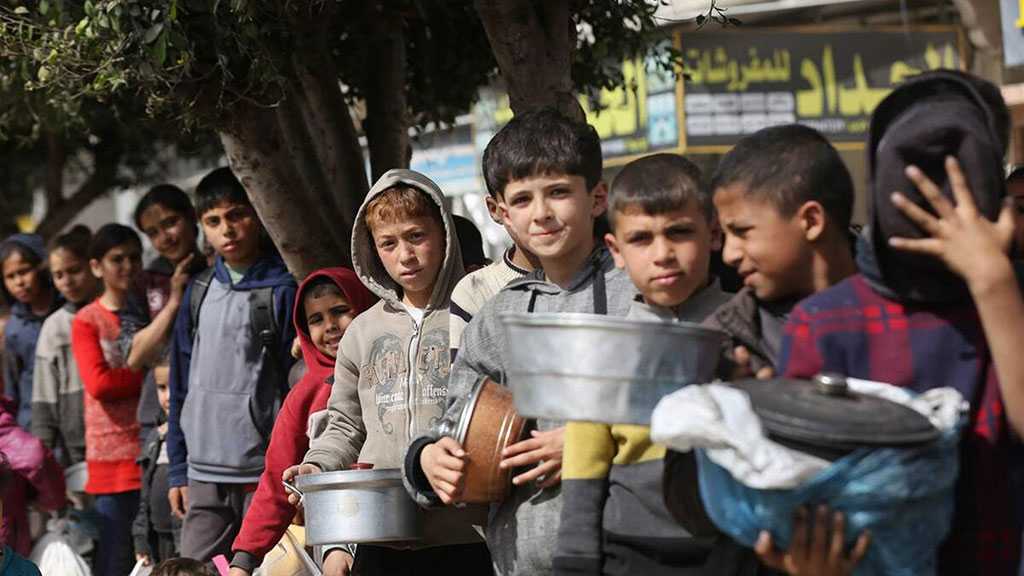 WHO Raises Alarm on Gaza Children’s Dire Hunger Crisis