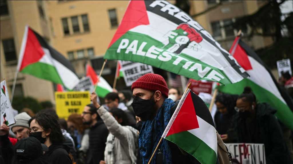 Poll: Young Americans Favor Palestinians Despite Biased Gaza Coverage