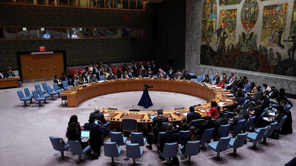 UN Security Council Expresses Deep Concern Regarding Killing of Aid Workers in Gaza